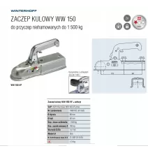 ZACZEP KULOWY WINTERHOFF 1500kg KWADRAT 60mm hak