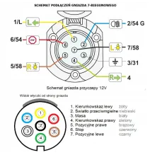 [ZESTAW] - Przewód spiralny 7żył x 4,5m + Wtyczka + Gniazdo podwieszane (7 PIN)